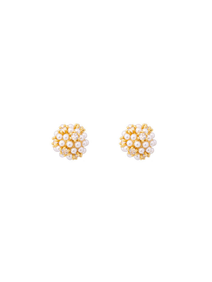 Par Arete Circulo Con Perlitas y Zirconias