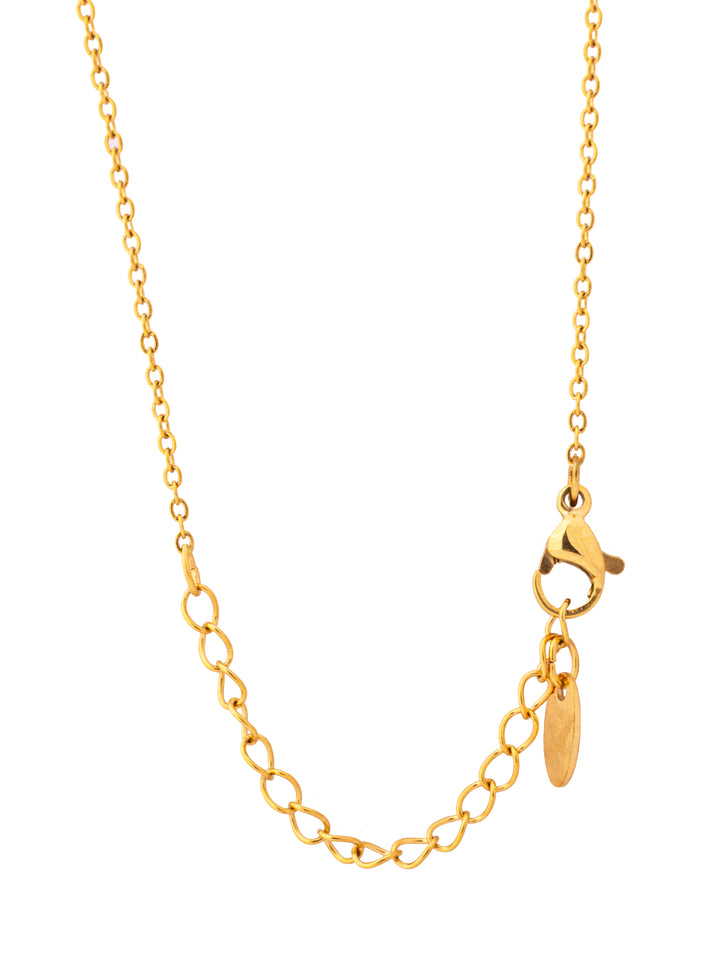 Collar Con Dije Pez
