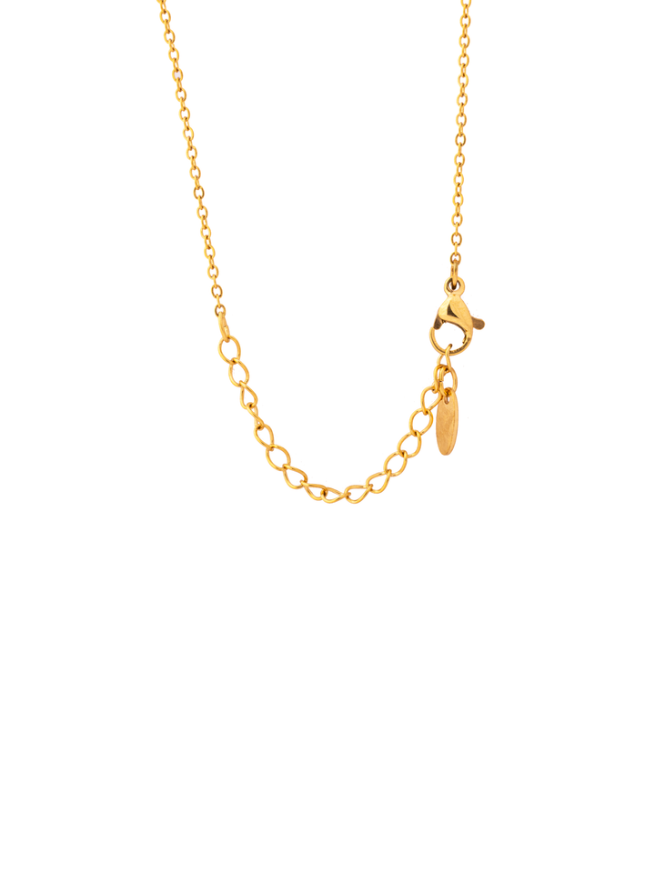 Collar Con Dije Pez