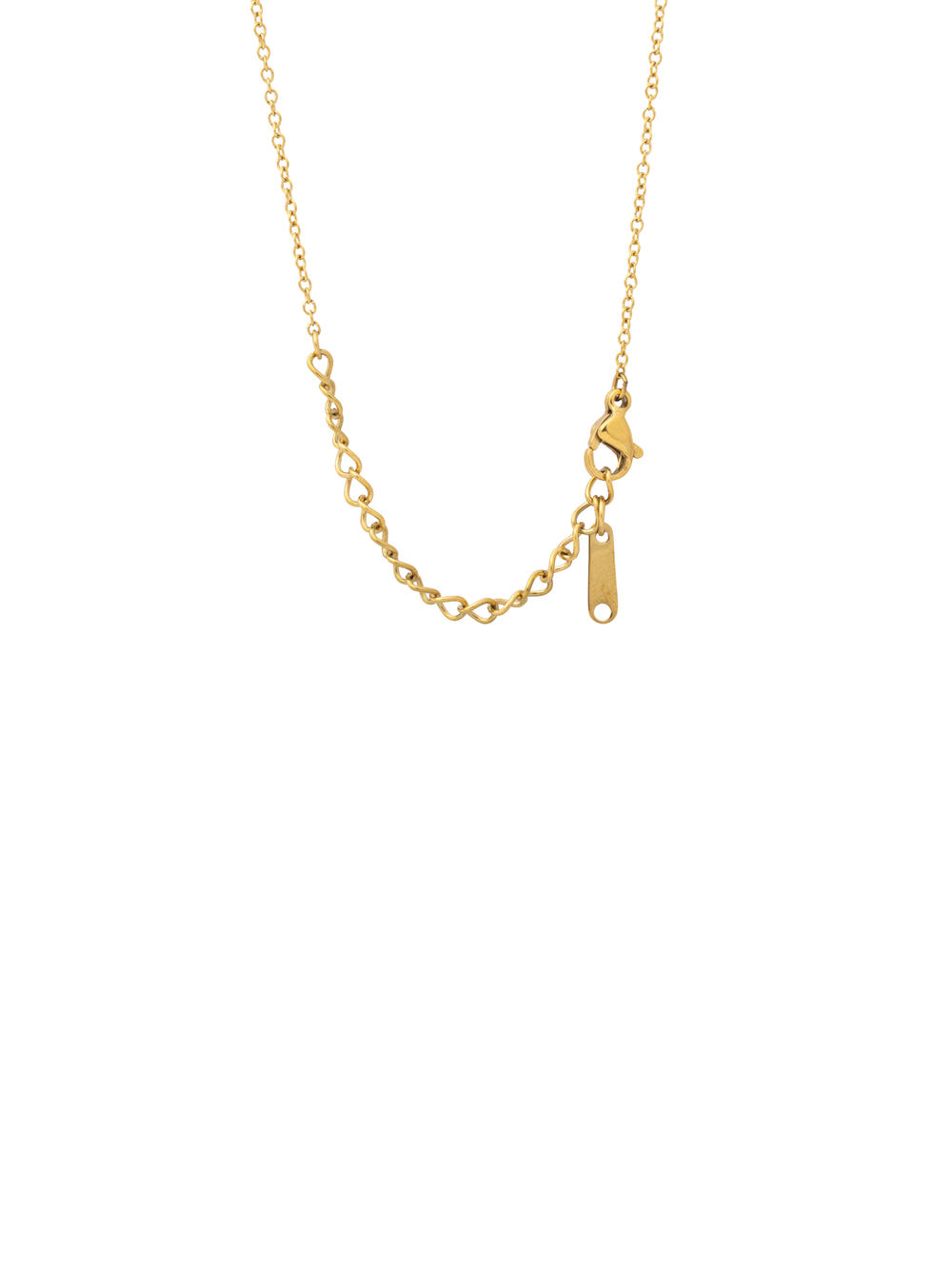 Collar Dije Tortuga Zirconias