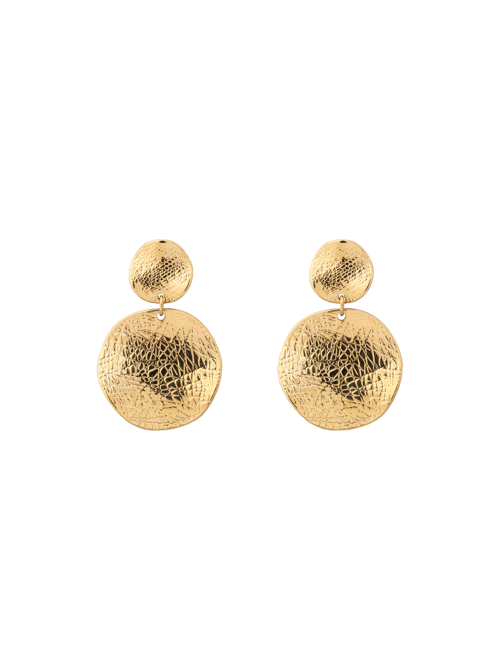 Par Arete Doble Circulo Con Textura