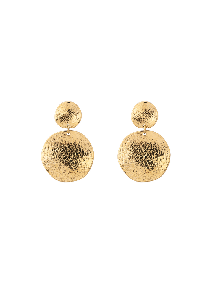 Par Arete Doble Circulo Con Textura