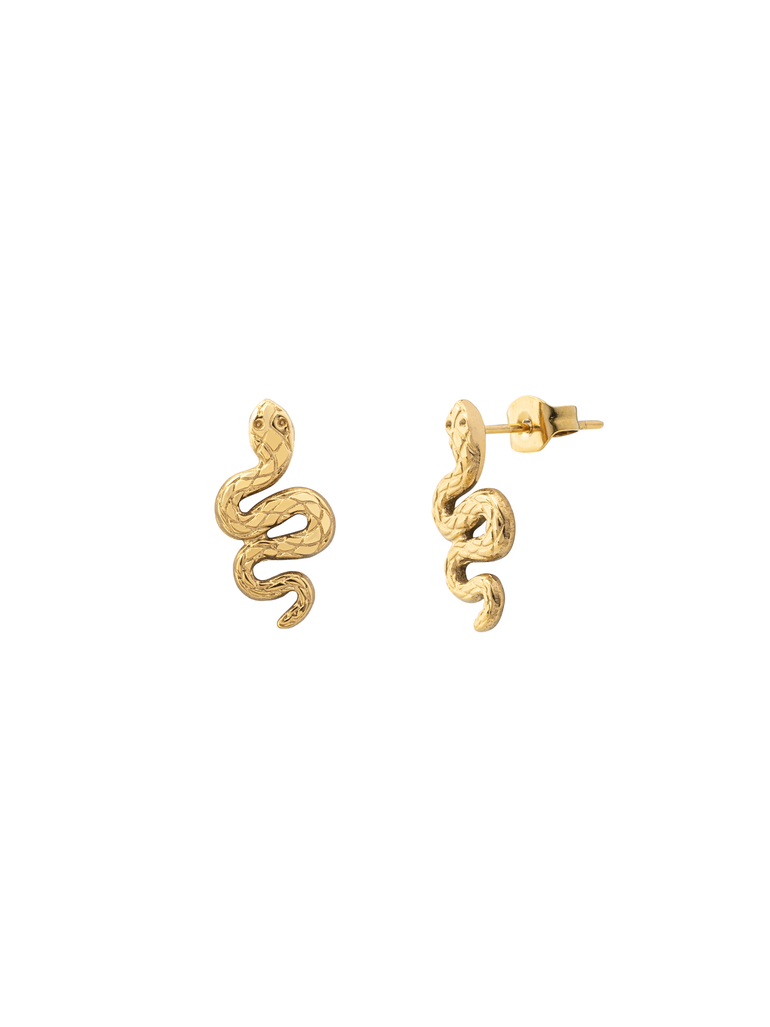 Par Arete Serpiente