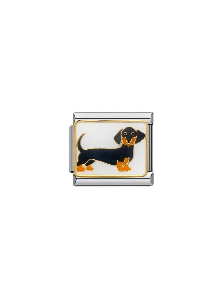 Charm Perro Salchicha