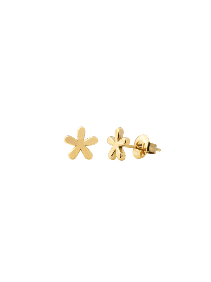 Par Arete Mini Flor Cinco Petalos