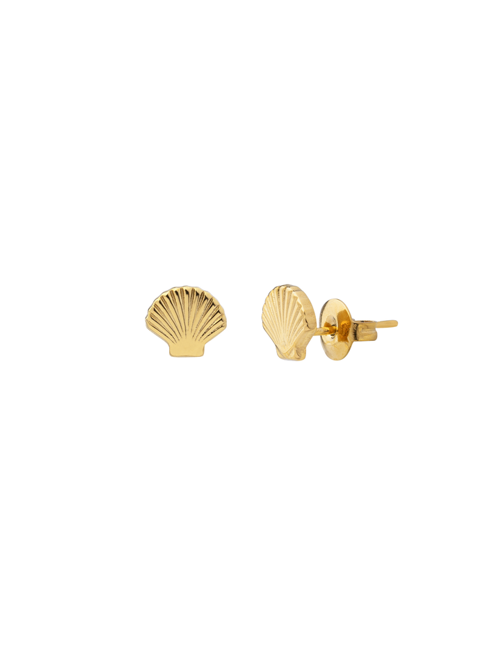 Par Arete Mini Concha