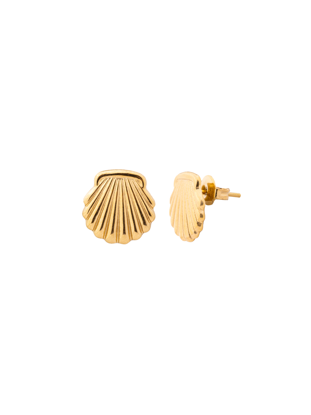 Par Arete Mini Concha