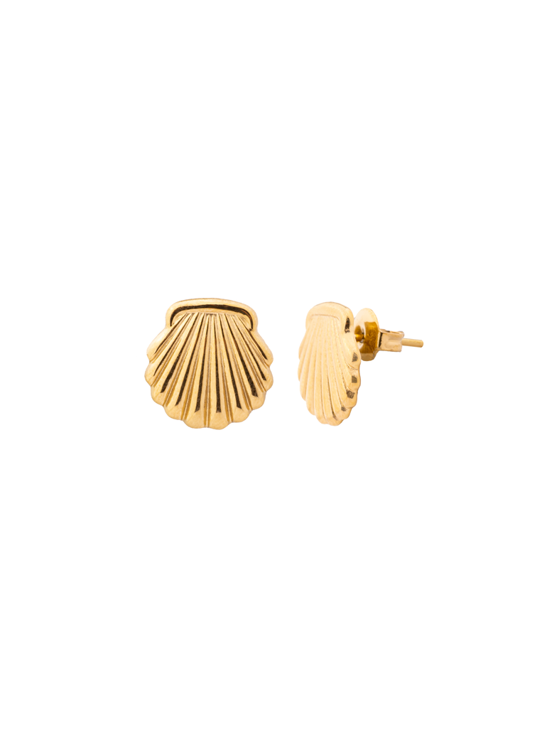 Par Arete Mini Concha