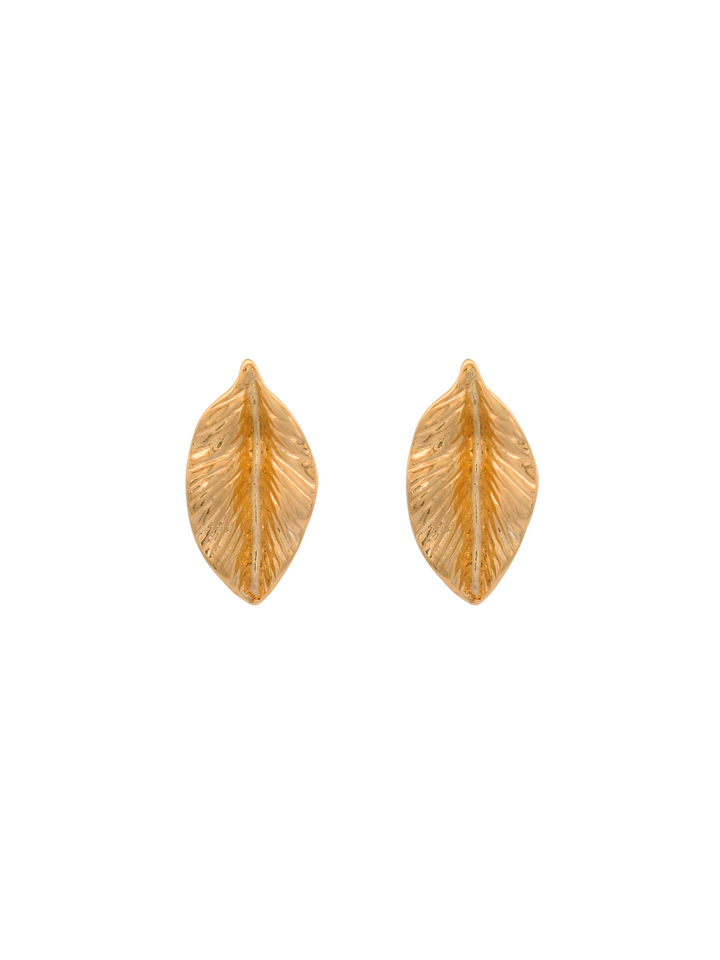 Par Arete Hoja