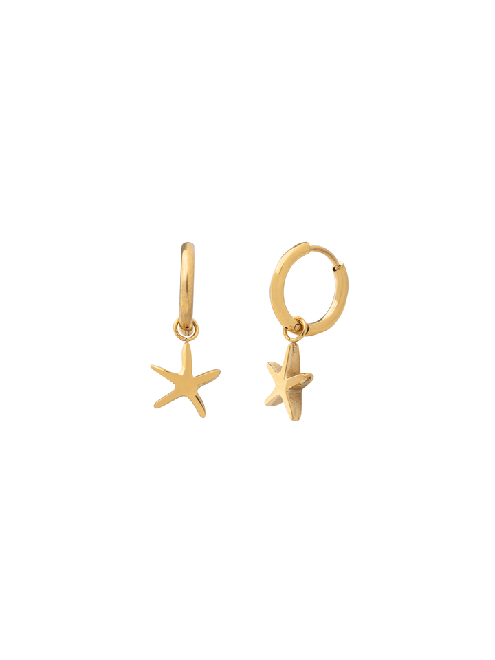 Par Arracada Con Estrella de Mar 2 en 1