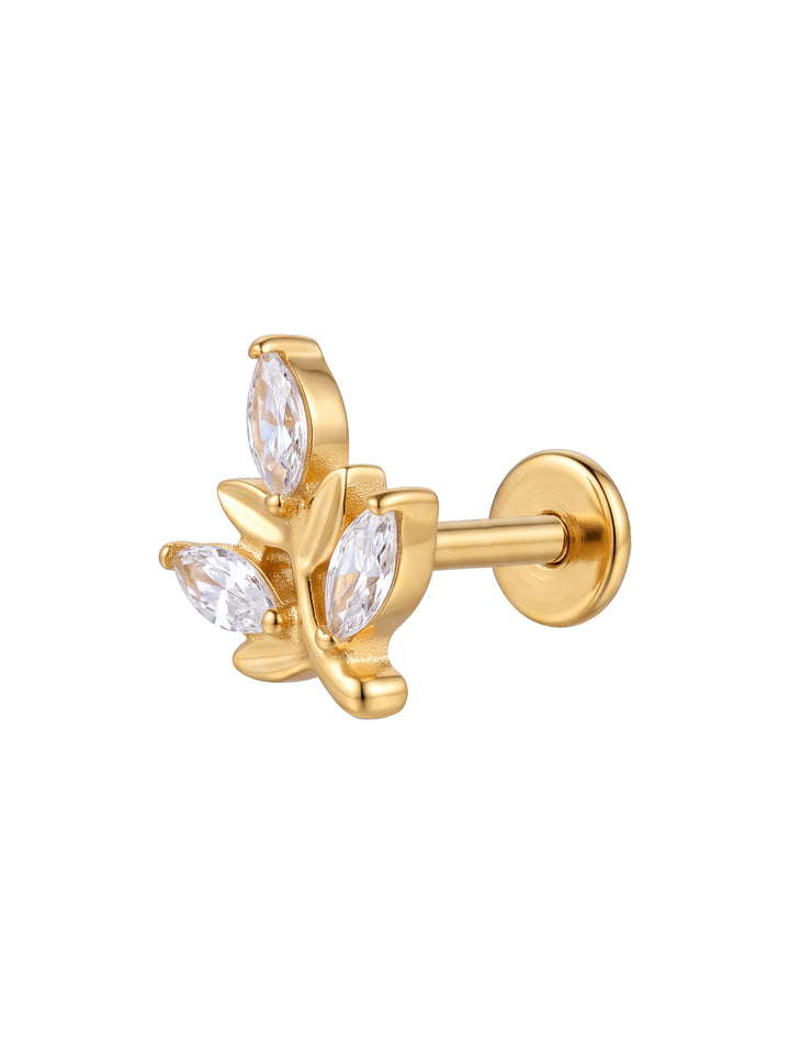 Arete Hoja Zirconias Primera Perforacion Titanio