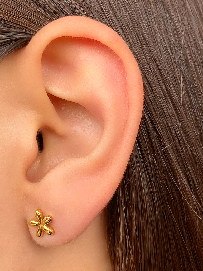 Par Arete Mini Flor Cinco Petalos