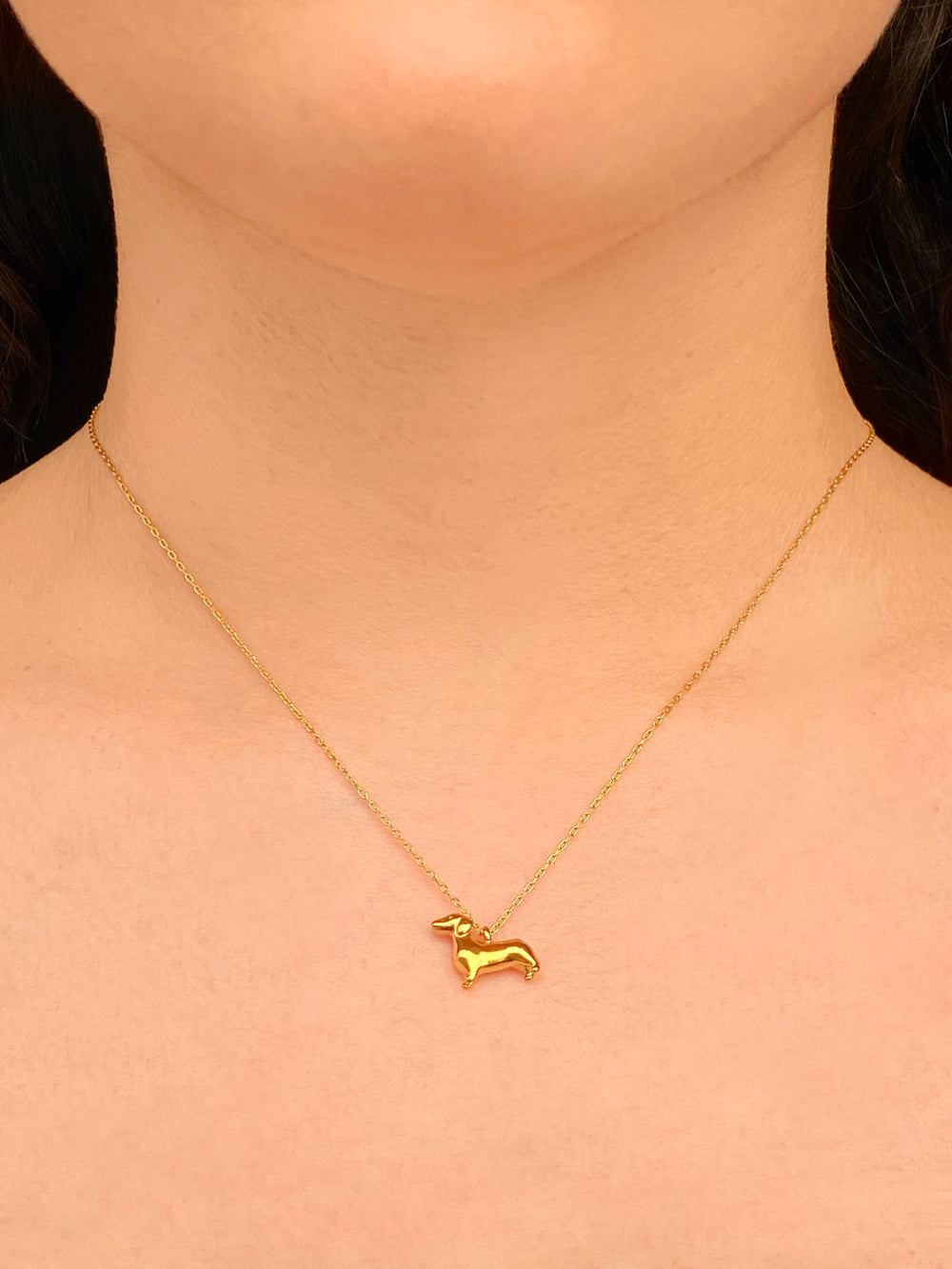 Collar Dije Perro Salchicha