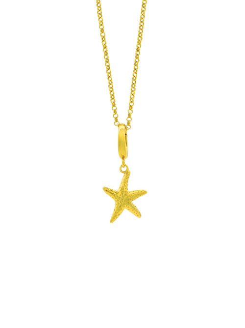 Collar Con Dije Estrella de Mar