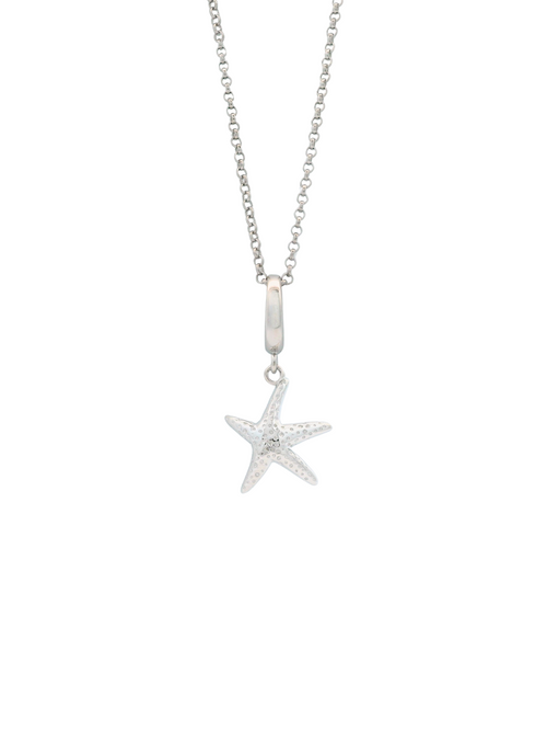 Collar Con Dije Estrella de Mar