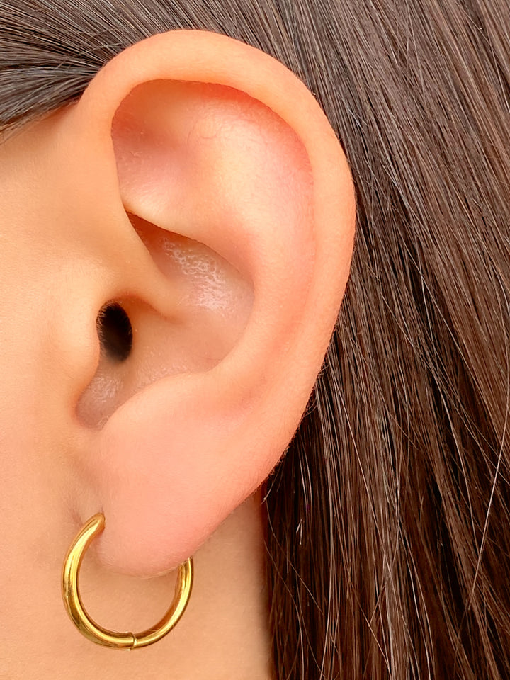 Par Arracada Con Dijes Trebol y Herradura 2 en 1