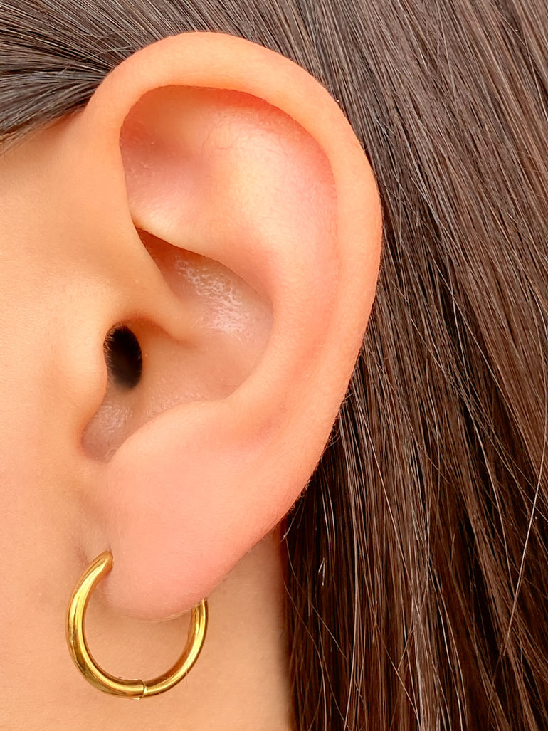 Par Arracada Con Dijes Trebol y Herradura 2 en 1