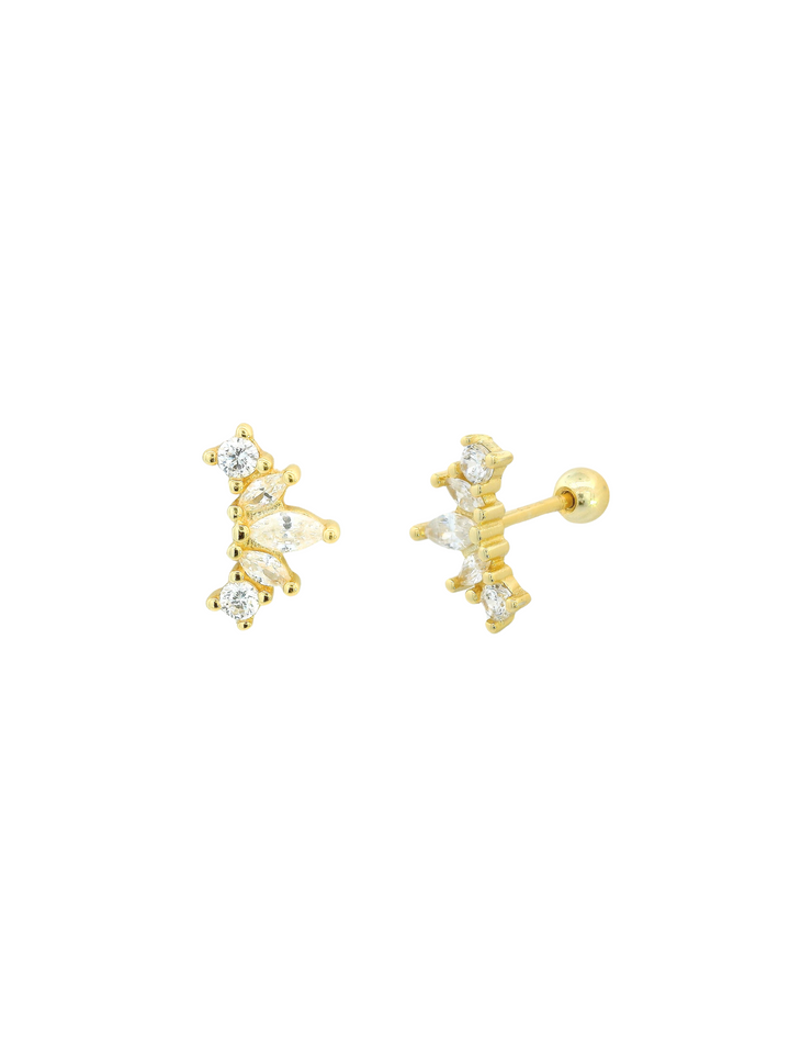 Broquel Zirconias Plata
