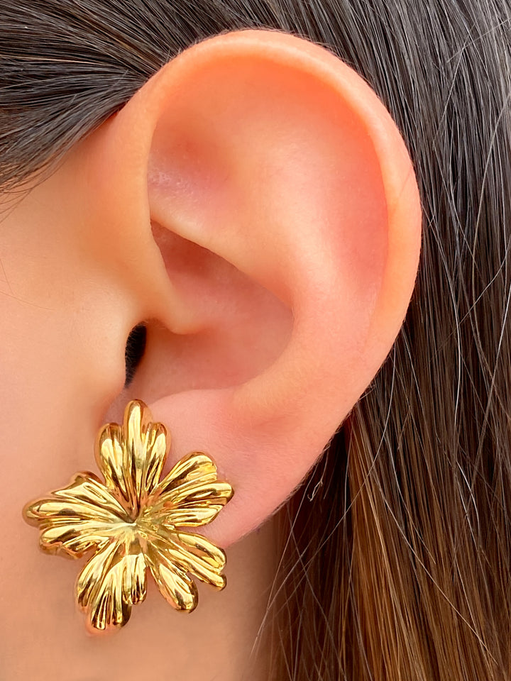 Par Arete Flor