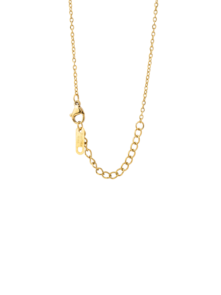 Collar Dije Signo Zodiacal