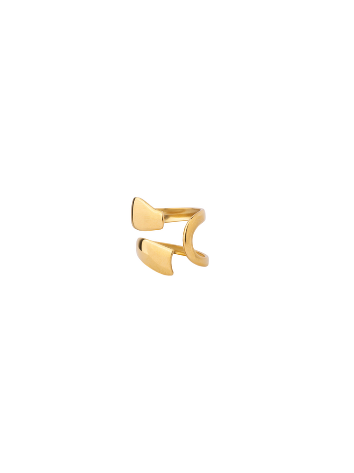 Anillo Doble Capa Abierta