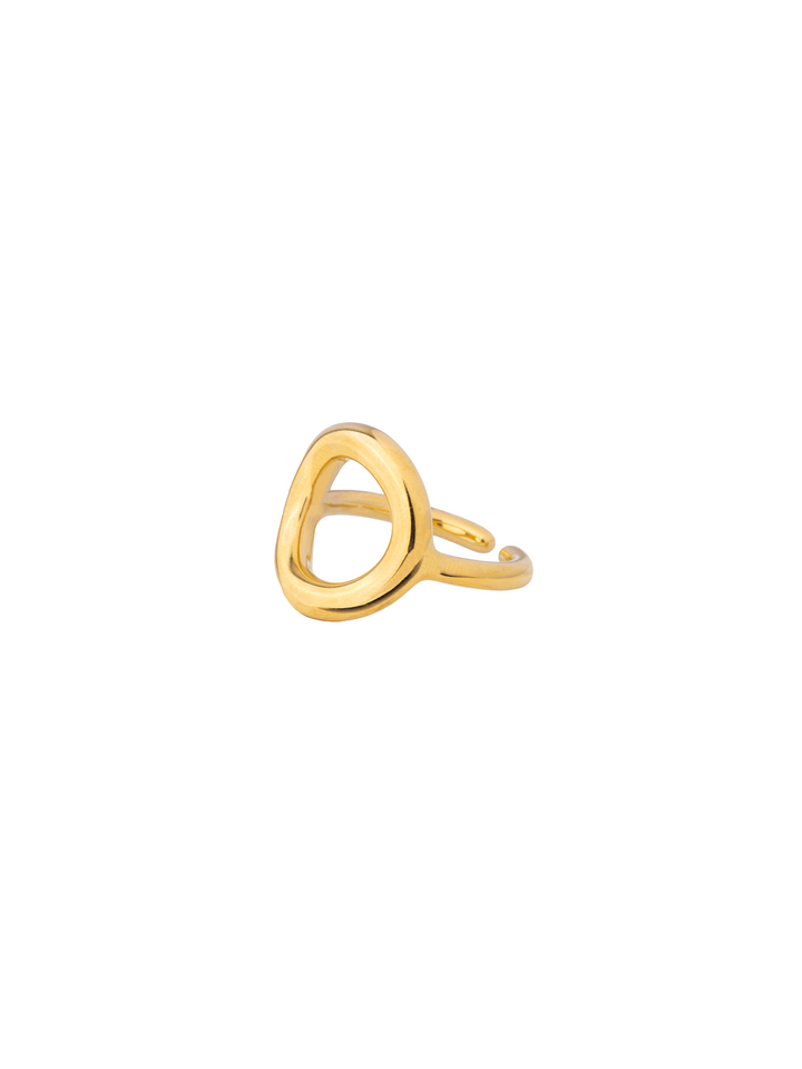 Anillo Contorno Circulo Ondulado