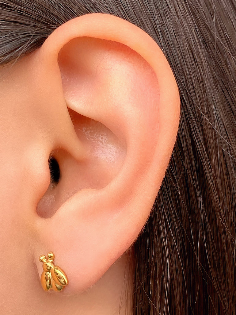 Par Arete Mini Catarina