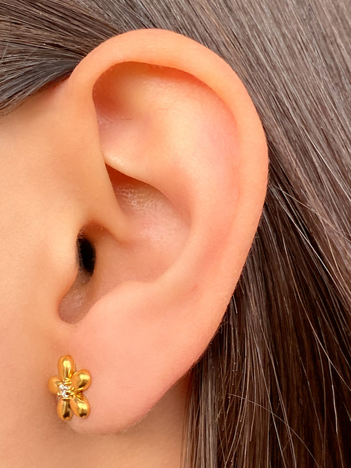 Par Arete Flor Cinco Petalos