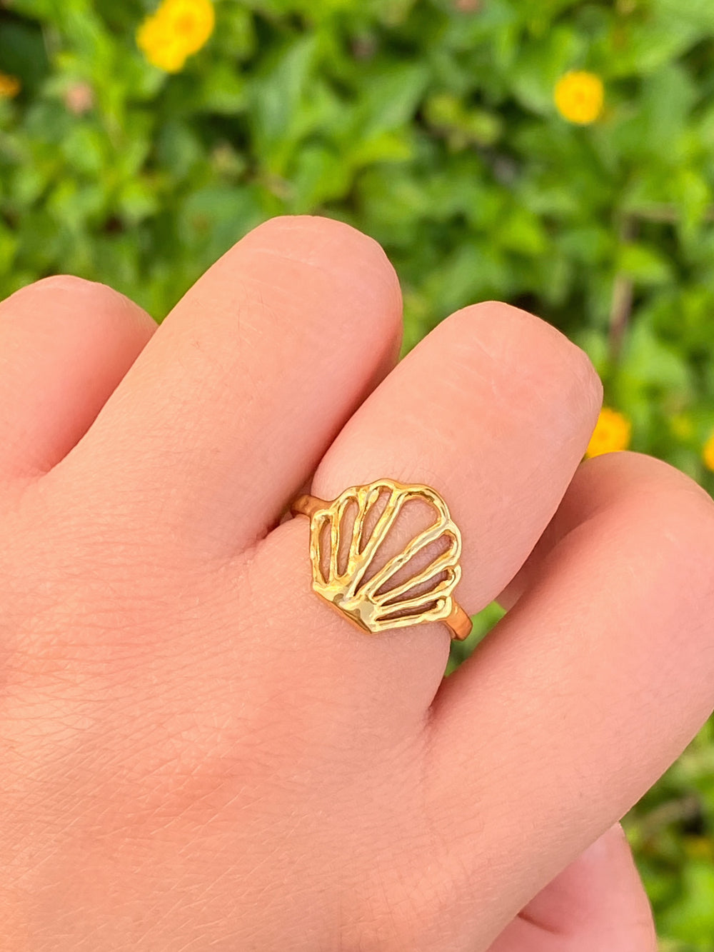 Anillo Concha Semi Ajustable