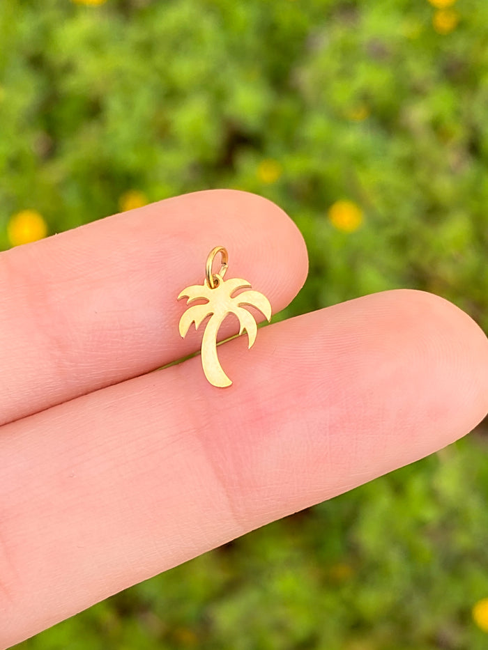 Dije Palmera
