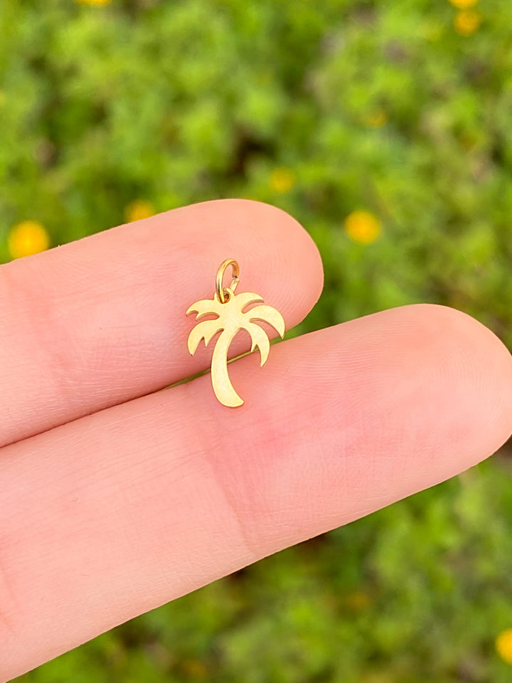 Dije Palmera