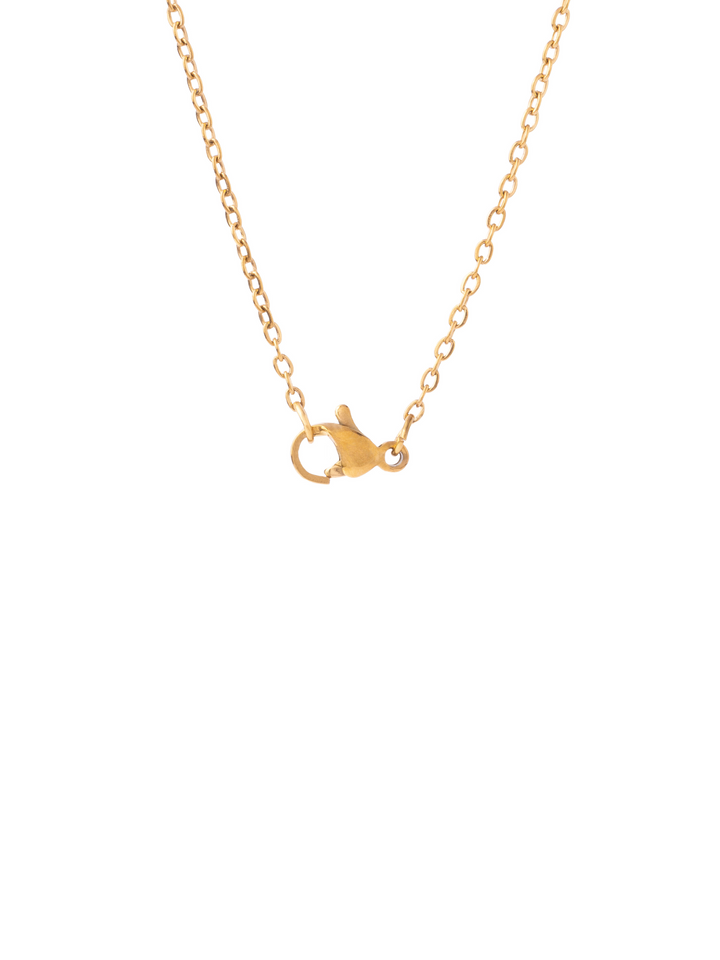 Collar Concha Nacar con Inicial