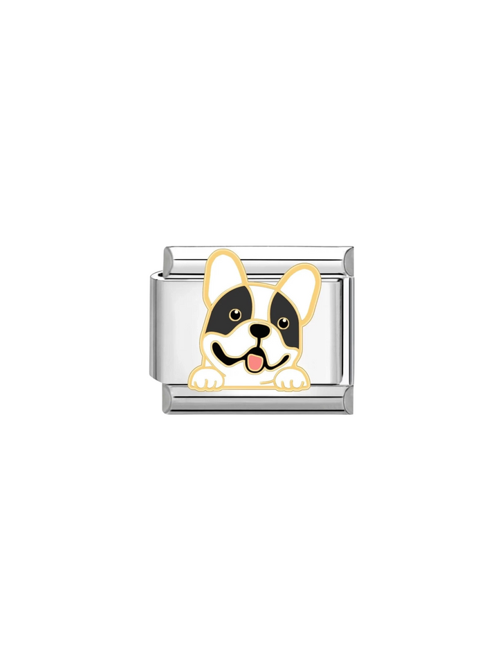 Charm Bull Dog