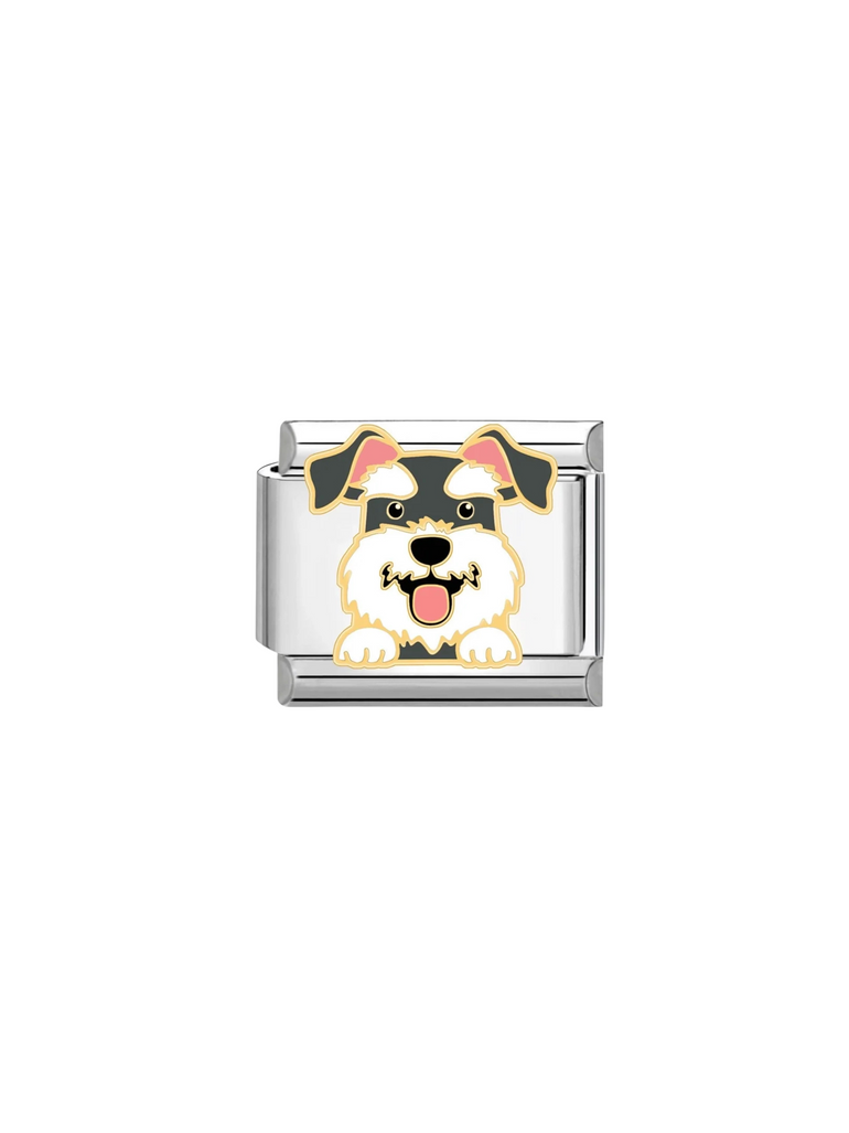 Charm Perro Schnauzer