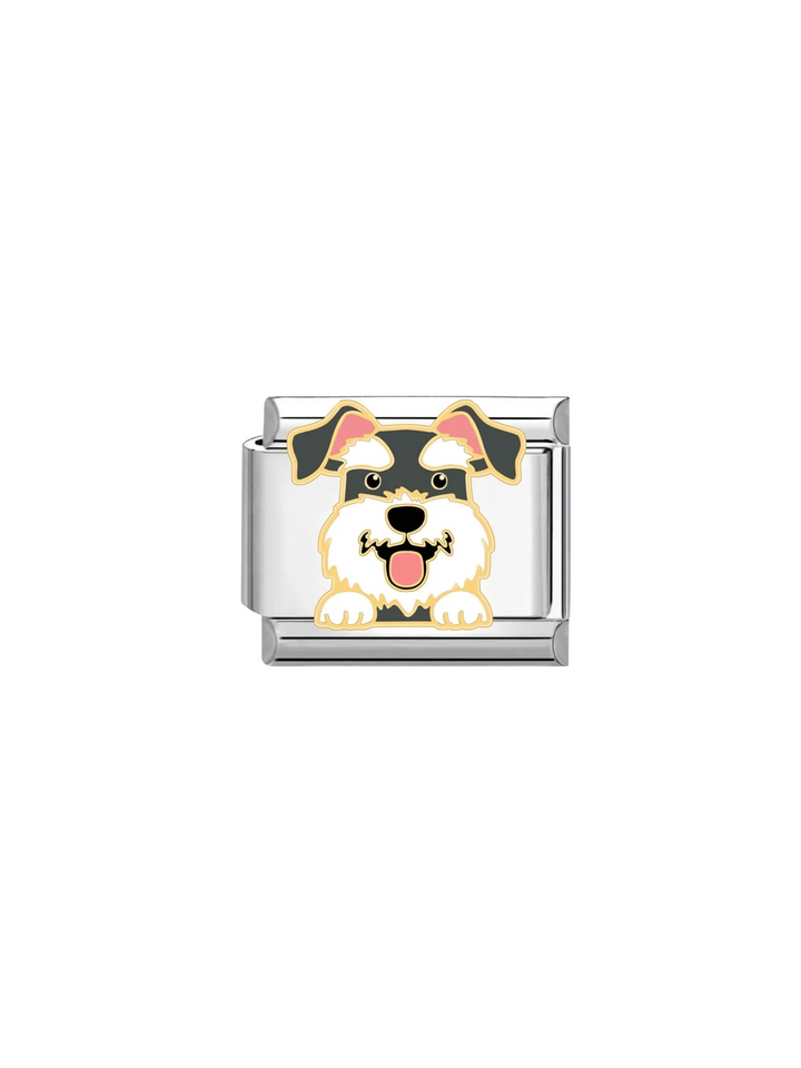 Charm Perro Schnauzer
