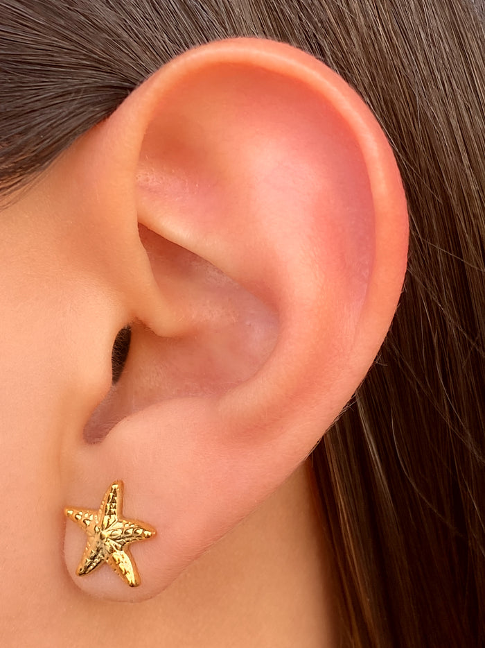 Par Arete Estrella De Mar