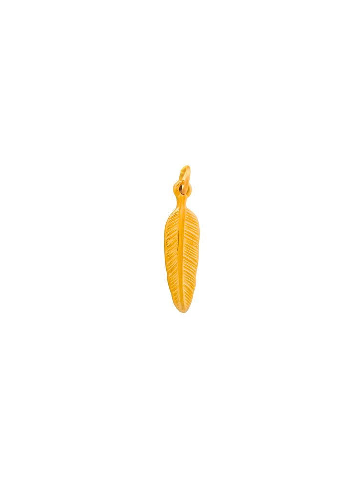 Dije Pluma
