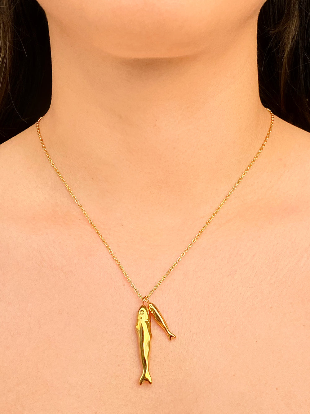Collar Dijes Dos Peces