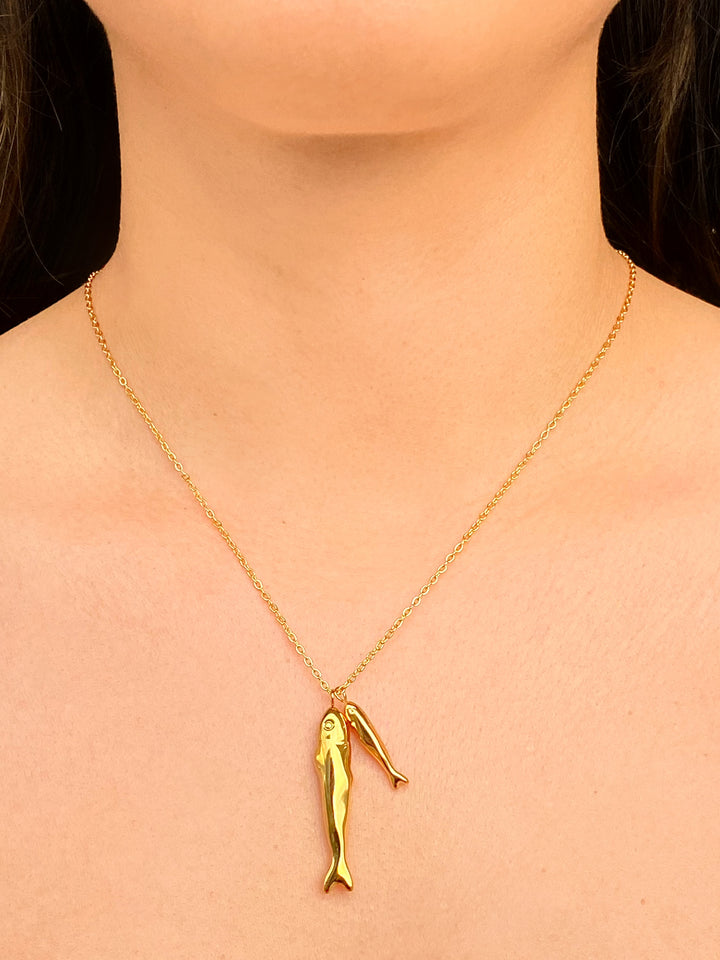 Collar Dijes Dos Peces