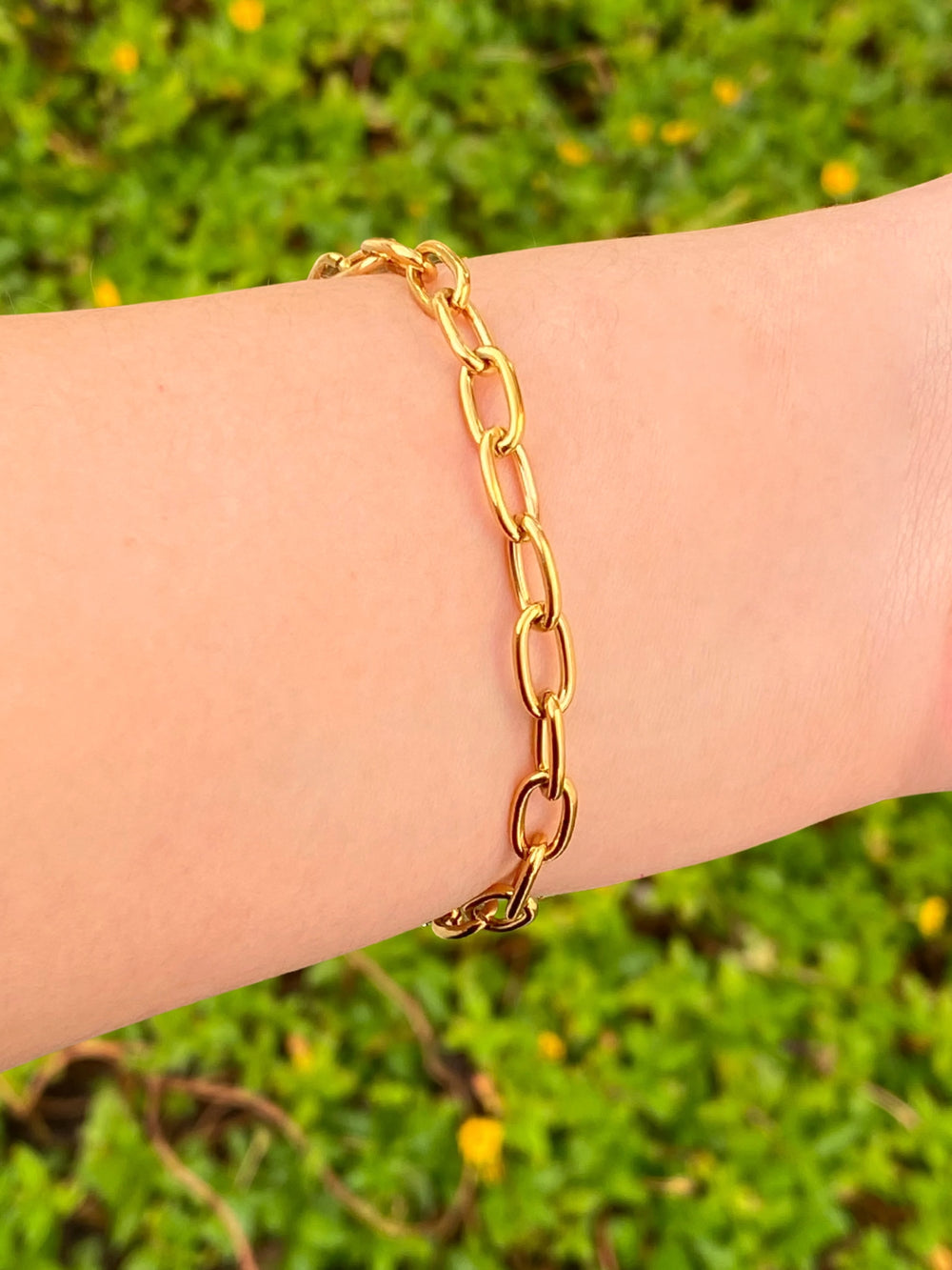 Pulsera Eslabones Tipo Clip Ovalados