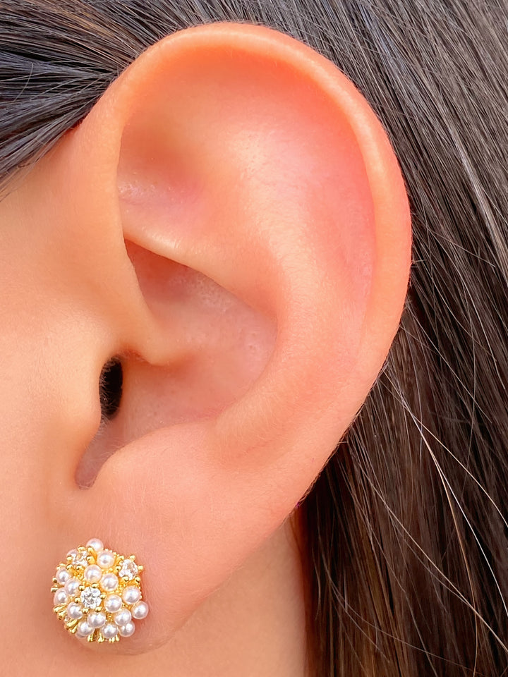 Par Arete Circulo Con Perlitas y Zirconias