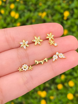 Arete Dos Zirconias Primera Perforacion