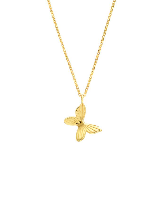 Collar Mariposa Oro 14k