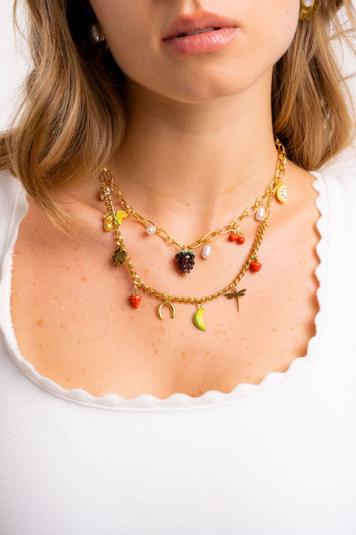 Collar Doble Eslabon Con Dijes Frutas y Libelula