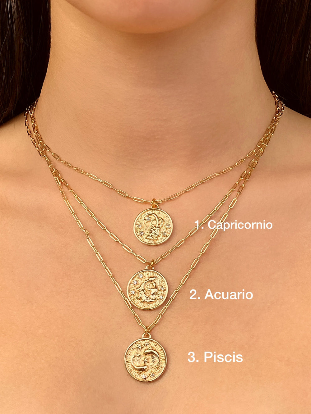Collar Medalla Signo Zodiacal