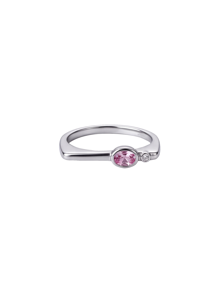 Anillo Rectangular Con Zirconia Birthstone