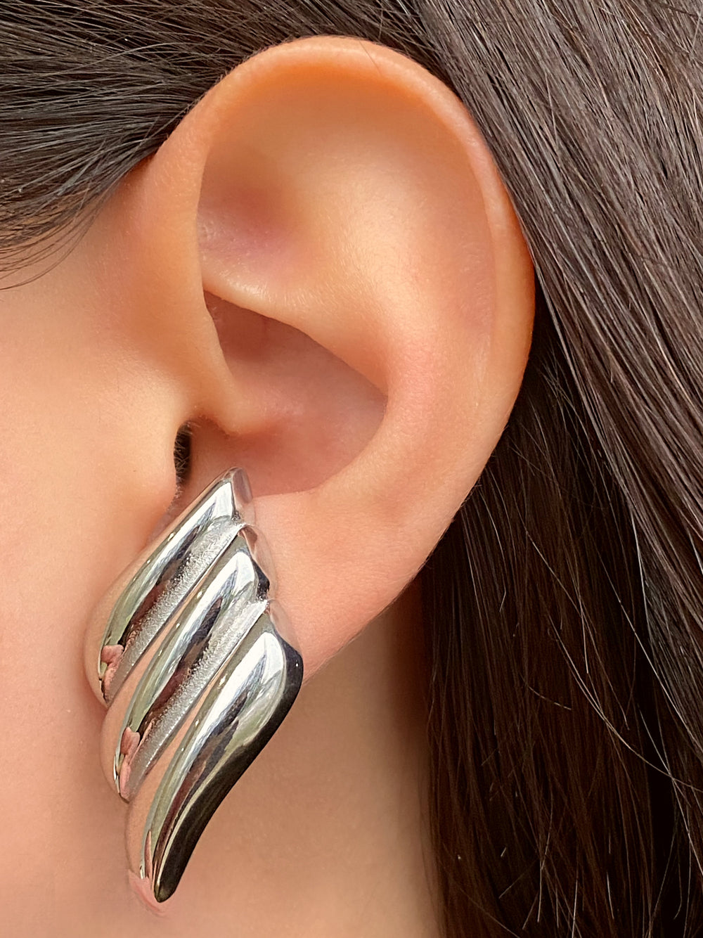 Par Arete Ala Trenzado