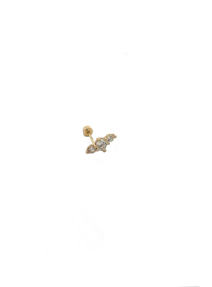 Broquel Zirconias Oro 10K